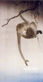 Monkey reflection moon painting
